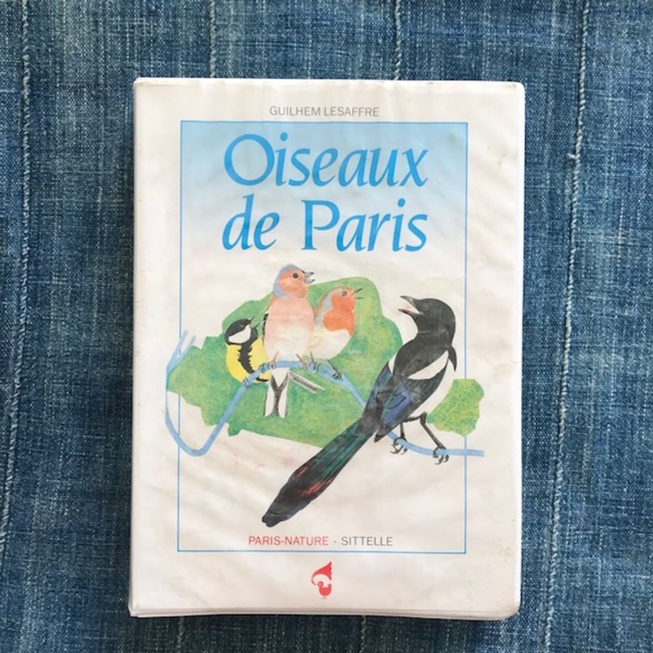 Oiseaux de Paris