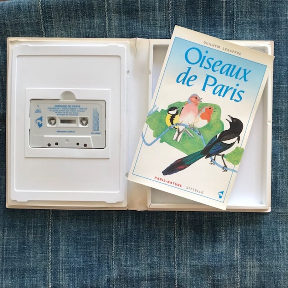Oiseaux de Paris