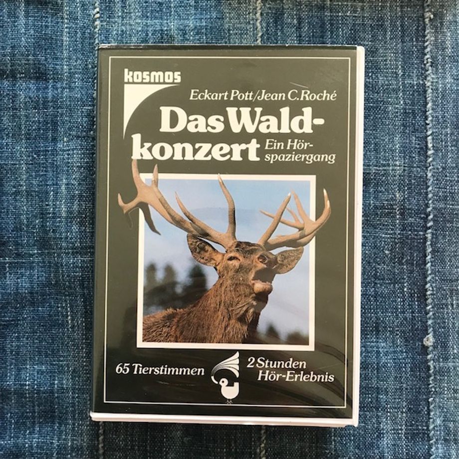 Das Wald Konzert