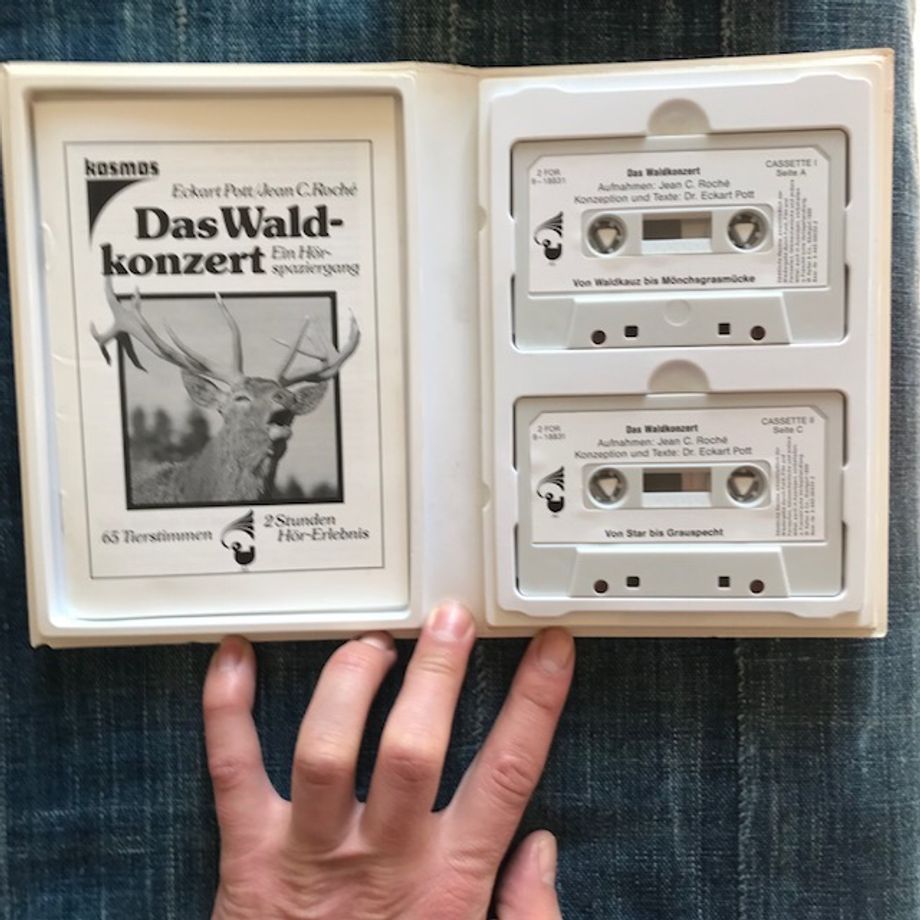 Das Wald Konzert