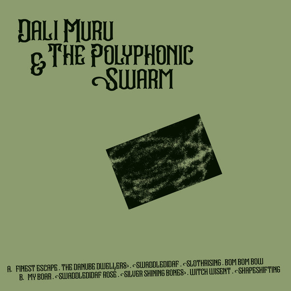 Dali Muru & The Polyphonic Swarm - Dali Muru & The Polyphonic Swarm | Stroom (STRLP-053) - main Dali Muru & The Polyphonic Swarm - Dali Muru & The Polyphonic Swarm | Stroom (STRLP-053) - main