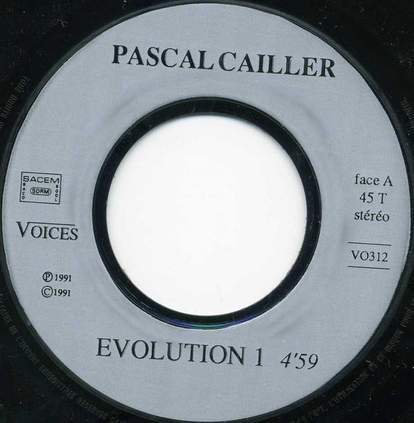 P. Cailler - Evasion | Voices (VO312) - 3