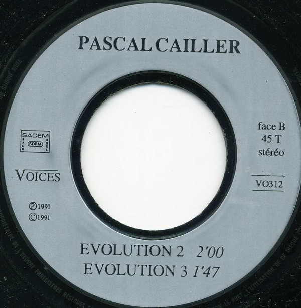 P. Cailler - Evasion | Voices (VO312) - 4