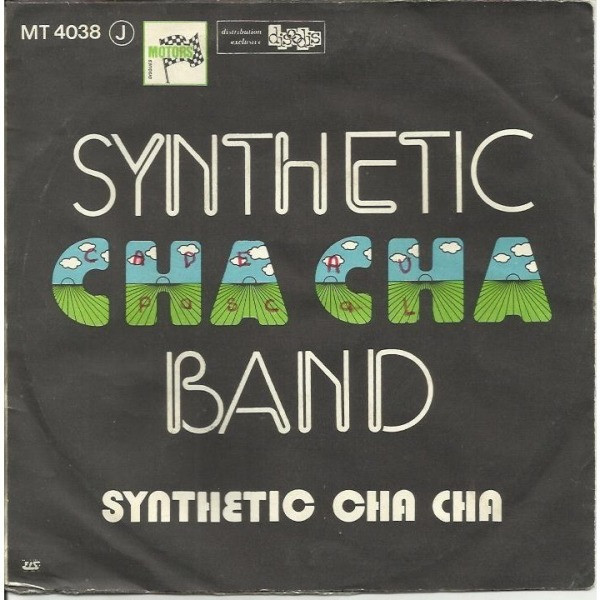 Why Can't We Live Together / Synthetic Cha Cha