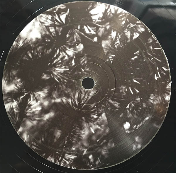 Gas - Box | Kompakt (KOMPAKT 370) - 24 Gas - Box | Kompakt (KOMPAKT 370) - 24