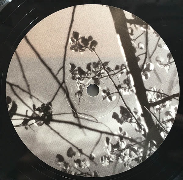 Gas - Box | Kompakt (KOMPAKT 370) - 8 Gas - Box | Kompakt (KOMPAKT 370) - 8