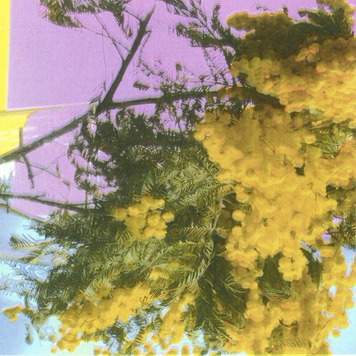 Four Tet - Into Dust (Still Falling) | XL Recordings (XL1554T) - main
