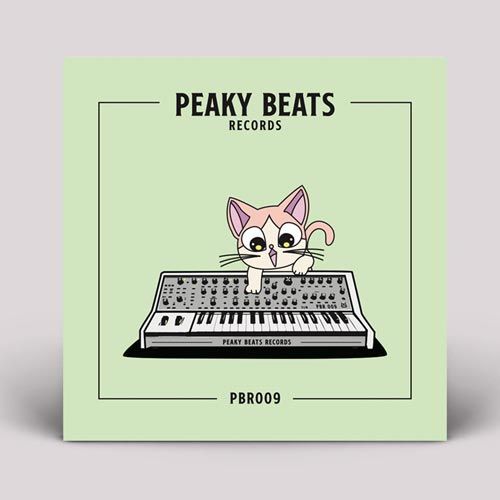 Breakfake & Peaky Beats - PBR009 | Peaky Beats Records (PBR009)