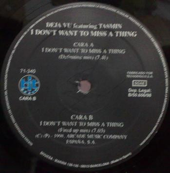 I Don't Want To Miss A Thing