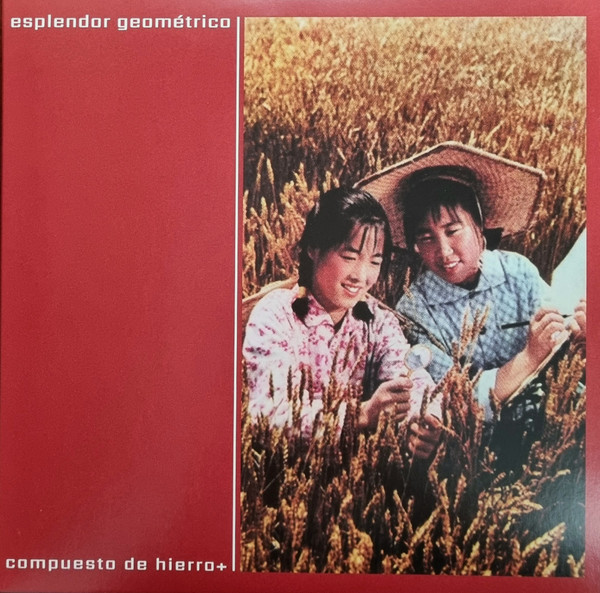 Compuesto De Hierro+