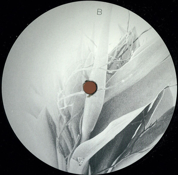 Mellocoton EP