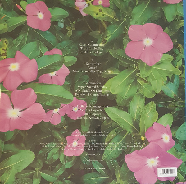 Electronic Recordings From Maui Jungle, Vol. 2