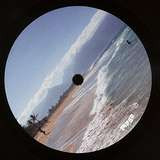 Electronic Recordings From Maui Jungle, Vol. 2