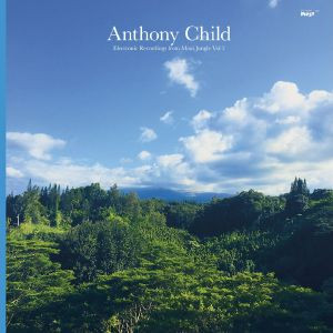 Electronic Recordings From Maui Jungle, Vol. 2