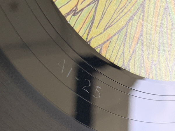 The Transition Recordings