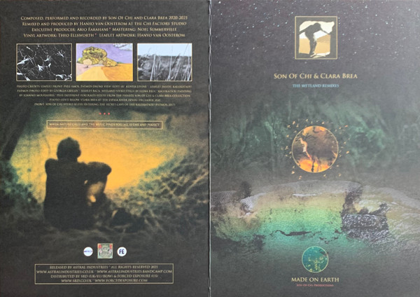 The Wetland Remixes 