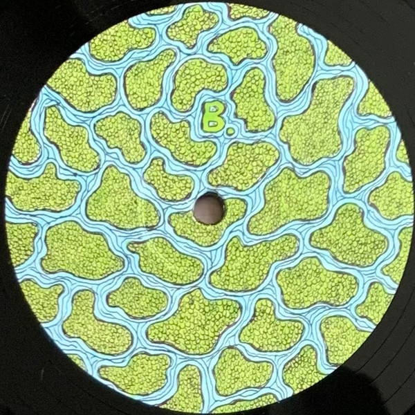 The Wetland Remixes 