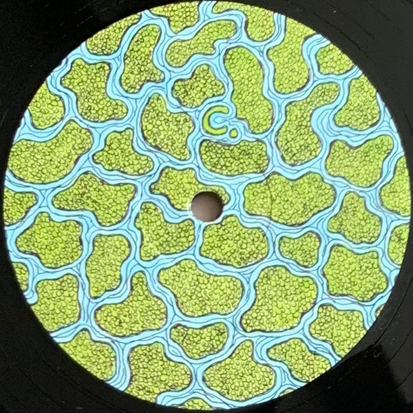 The Wetland Remixes 