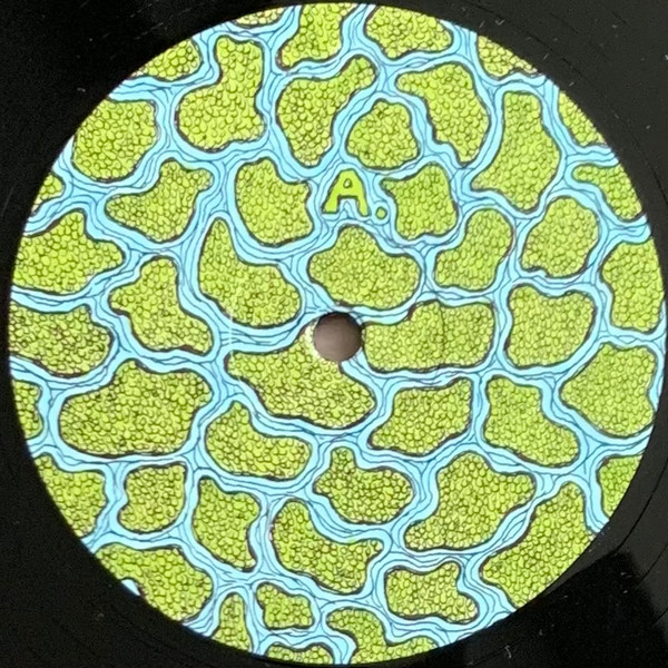 The Wetland Remixes 