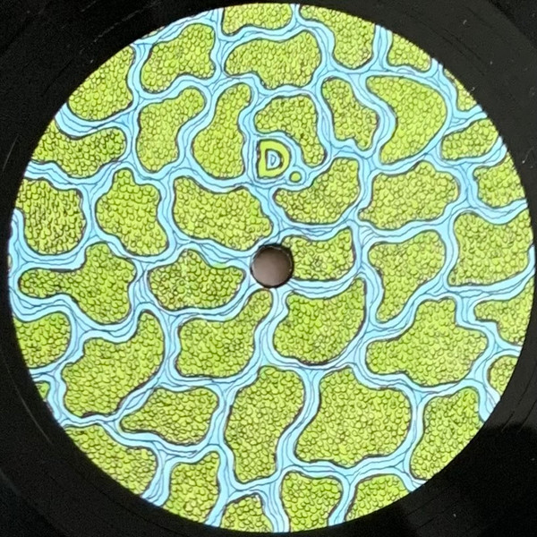 The Wetland Remixes 
