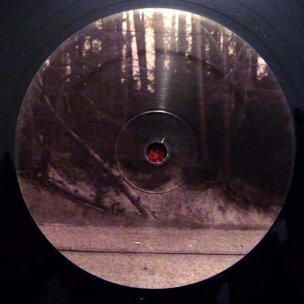 Graviton - Cx (Rigid Transmission)